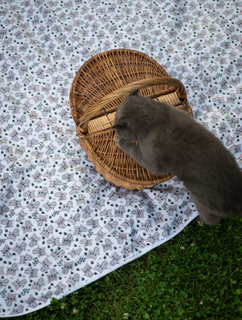 Nepremokavá
deka extra jemná univerzálna - Cute cats - Image 4